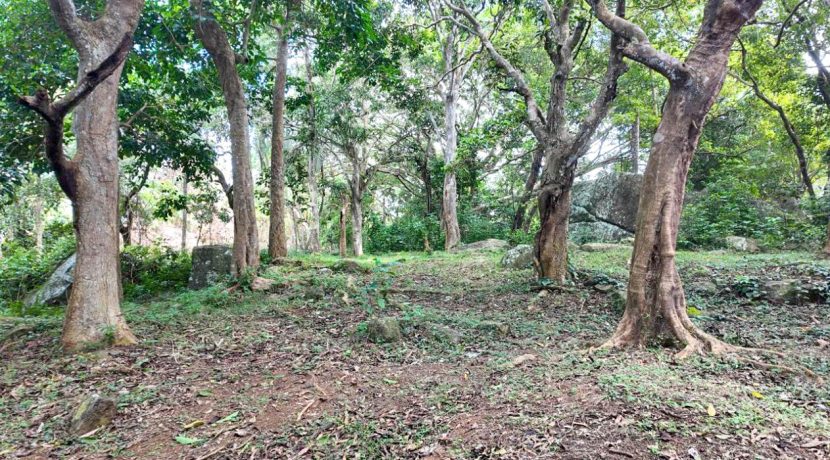 WhatsApp Image 2026-02-25 at 10.27.18 (1)