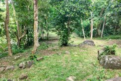 WhatsApp Image 2026-02-25 at 10.27.19