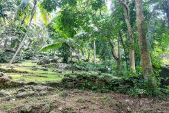 WhatsApp Image 2026-02-25 at 10.27.21 (2)