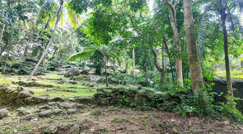 WhatsApp Image 2026-02-25 at 10.27.21 (2)