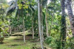 WhatsApp Image 2026-02-25 at 10.27.23