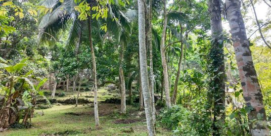 212-Perch Land for Sale in Heenatigala, 20 Minutes to Galle