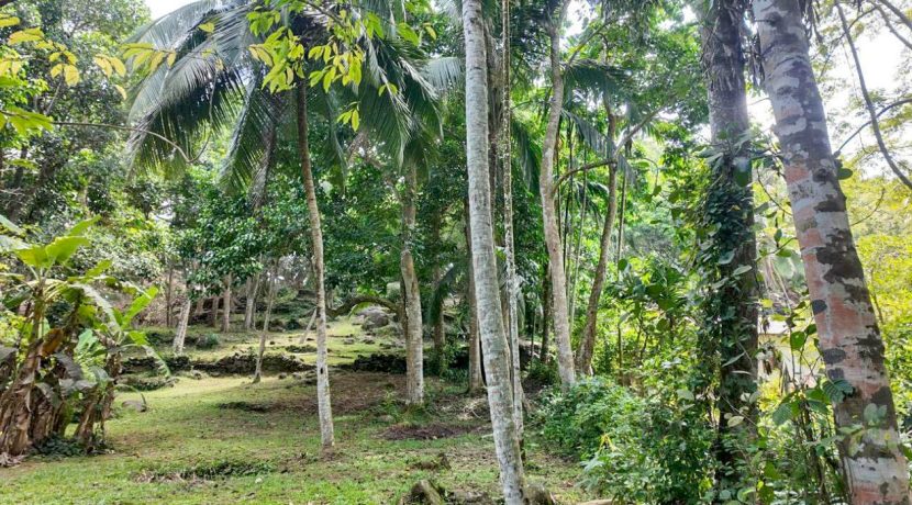 WhatsApp Image 2026-02-25 at 10.27.23