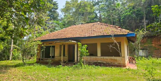 98 Perch Property with Open Views – Renovation Needed