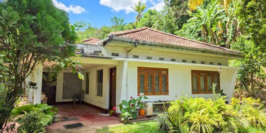 Paddy View Property with Two Houses in Weligama