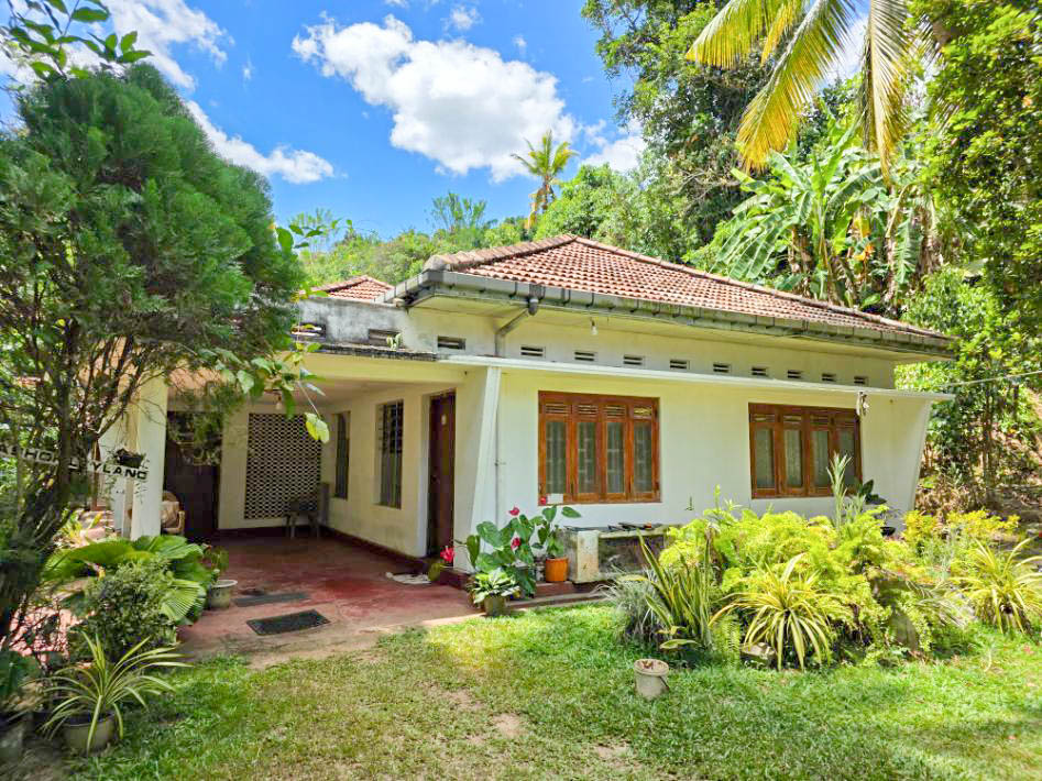 Paddy View Property with Two Houses in Weligama