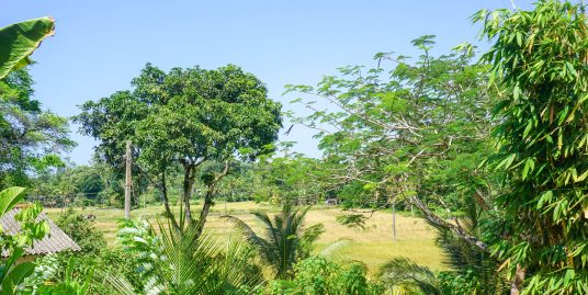 53 Perch Land – Great Setting for a Relaxing Home in Ahangama