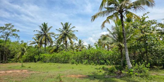Tranquil Riverfront Sanctuary in Goviyapana – 90 Perches of Lush Natural Beauty