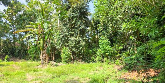Midigama Property Near Weligama Surf Corridor