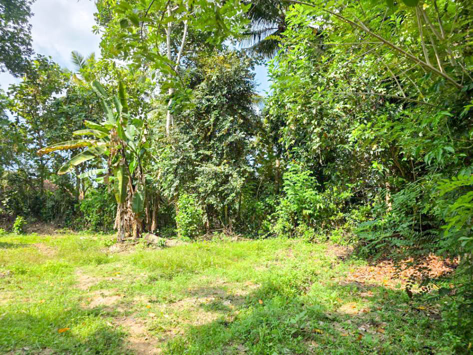 Midigama Property Near Weligama Surf Corridor