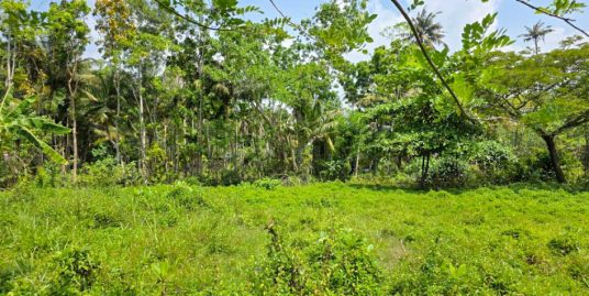120 Perch Land Close to Beaches and Tourist Hotspots – Midigama