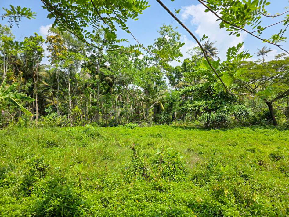 120 Perch Land Close to Beaches and Tourist Hotspots – Midigama