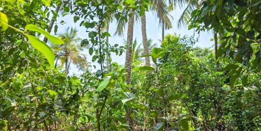 15P land in Kathaluwa, just 500m from the main road and beach.