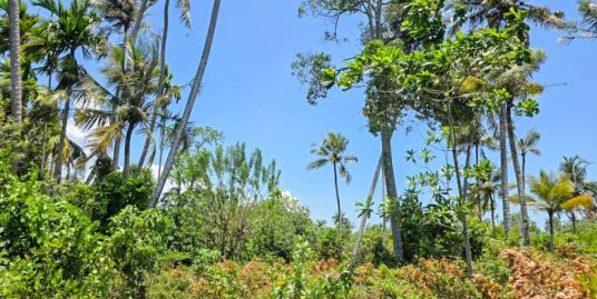 Flat Development Land in Kabalana – Walking Distance to the Beach