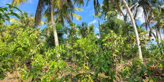 160 P Elevated Land great for a Private Villa or Cabana Concept- Ahangama
