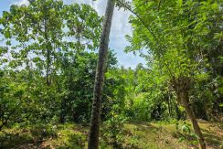 20260411_102008