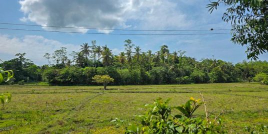 30 Perch Land Parcel in Midigama