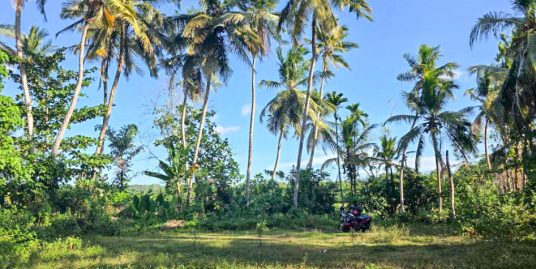 Well-Proportioned Bare Land in a Quiet Part of Weligama