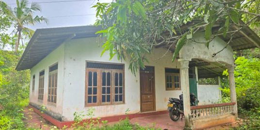 5 Acre Land with Blend of Tea Plantation and Forest Cover