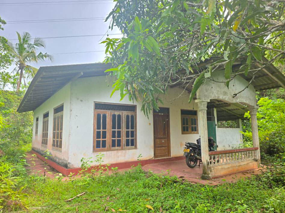 5 Acre Land with Blend of Tea Plantation and Forest Cover