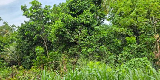 16.5P Land for Sale – Calm Residential Area in Ahangama