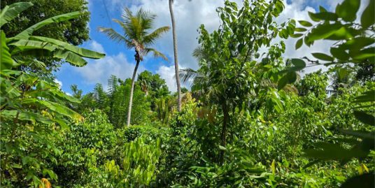MIDIGAMA 43 P BARE LAND FOR SALE