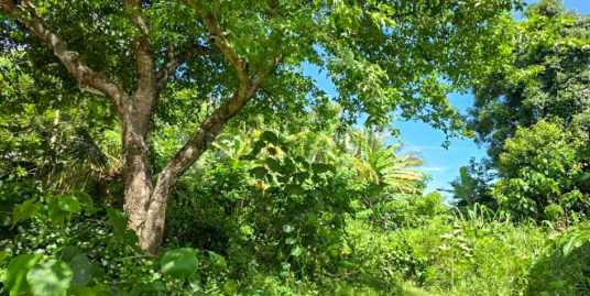 Kathaluwa Land Offering for a Custom-Built Home