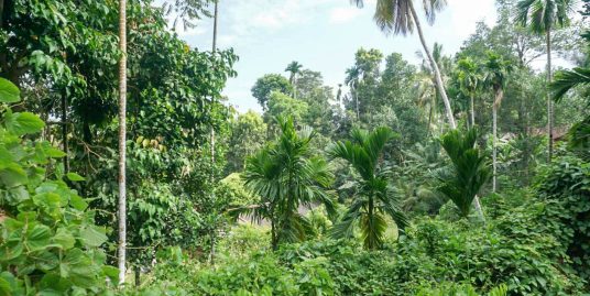 East-Facing 182-Perch Land Just 1 Minute from Habaraduwa Beach