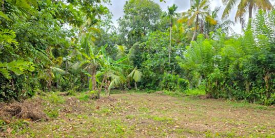 Build Your Home or Guest House in the Heart of Ahangama