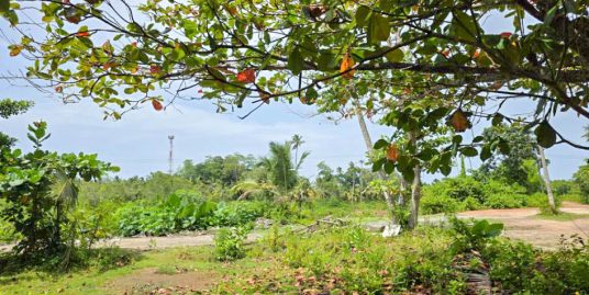 43 Perch Property Close to Midigama Town