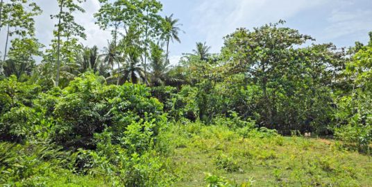 10 Perch Land Moments from Midigama Surfing Zone