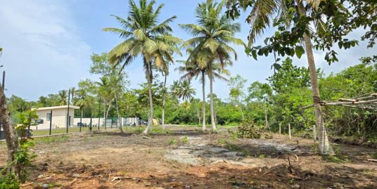 52 Perch Flat Land in Midigama