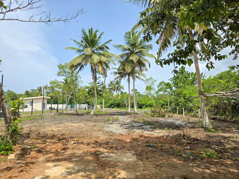 52 Perch Flat Land in Midigama