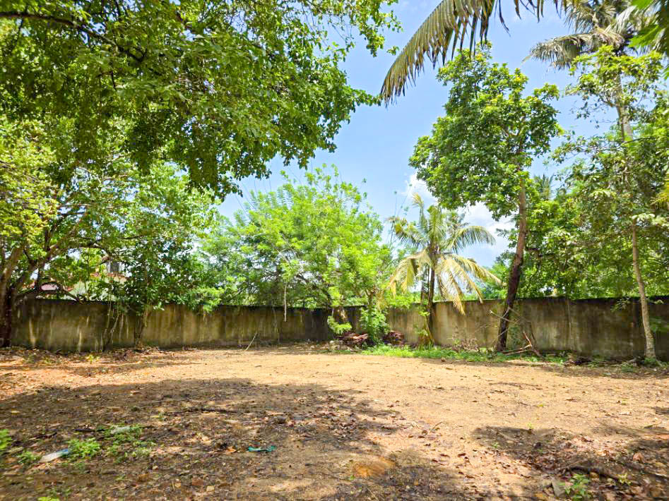 31 Perches – A Private Piece of Ahangama to Call Your Own