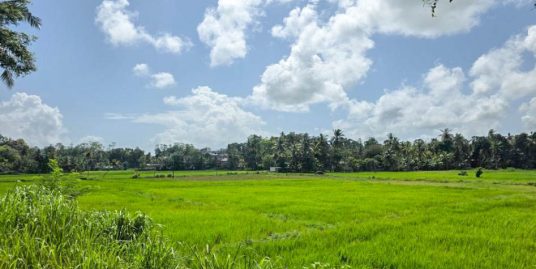 61 Perch Elevated Land with Open Paddy Views