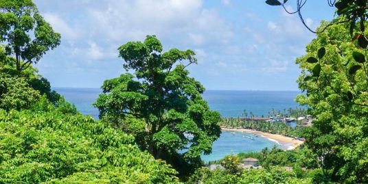 A Rare Hilltop Property with Panoramic Sea Views and a Whole Lot of Soul
