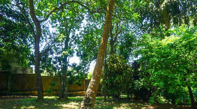 DSC02368