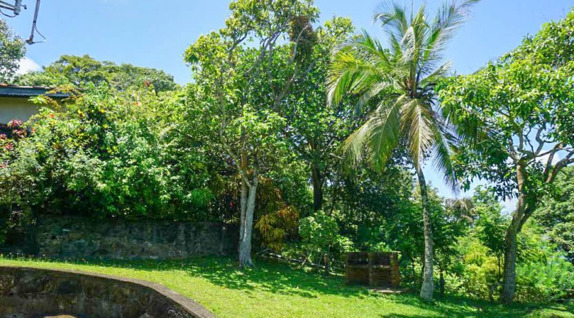 DSC02420